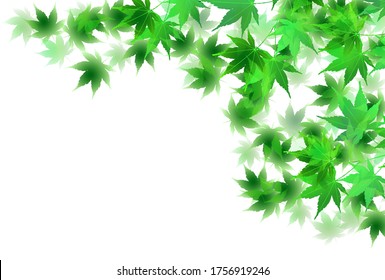 Maple Summer greeting card Leaf background