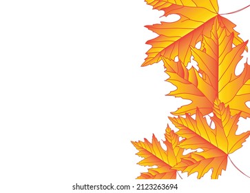 Maple summer leaves on white background with space for text, data issue, view from above.