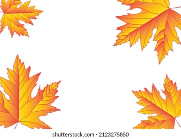Maple summer leaves on white background with space for text, data issue, view from above