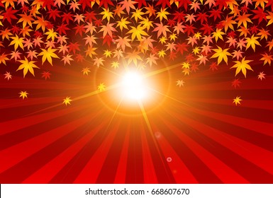 Maple sun autumn background