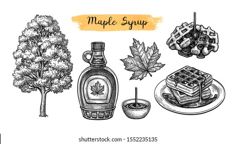 Maple syrup. Collection of ink sketches isolated on white background. Hand drawn vector illustration. Retro style.