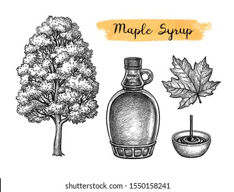 Maple syrup. Tree and leaf. Collection of ink sketches isolated on white background. Hand drawn vector illustration. Retro style.