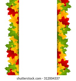 maple template composed of yellow,green and red maple leaves isolated on white background