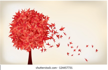 maple tree
