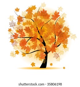 Maple tree, autumn leaf fall