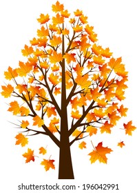 Maple tree autumn leaves background vector and illustration