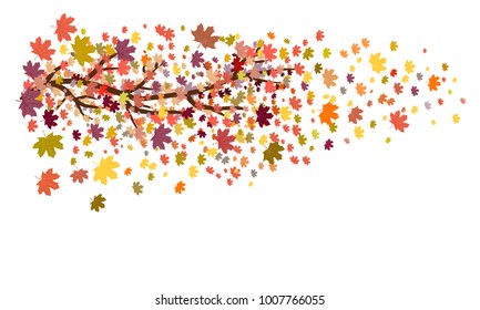 Maple tree branch with autumn colored leaves falling off/autumn foliage vector illustration on white background and room for copy space