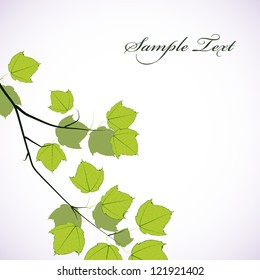 Maple tree branch. Vector background.