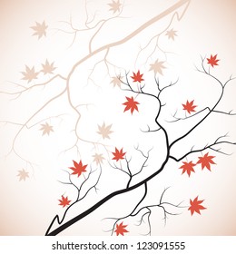 Maple tree branch. Vector background.