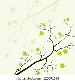 Maple tree branch. Vector background.