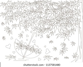 Maple tree, falling maple leaves sketch, umbrella monochrome romantic background coloring book anti stress stock vector illustration for web, for print