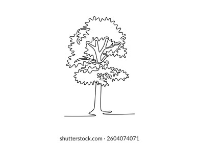 Maple. Tree and flower concept. Single line draw design. Vector graphic illustration