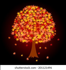  Maple tree foliage
