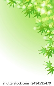Maple Tree Fresh Green Hot Summer Background