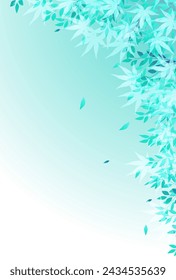 Maple Tree Fresh Green Hot Summer Background