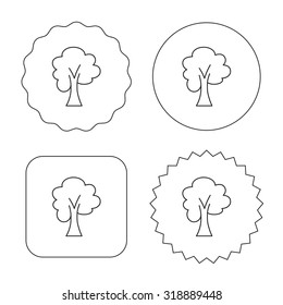 Maple tree icon. Forest wood sign. Nature environment symbol. Flat circle, star and emblem buttons. Labels design. Vector