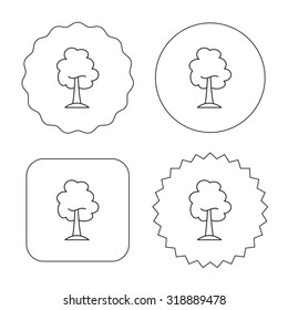 Maple tree icon. Forest wood sign. Nature environment symbol. Flat circle, star and emblem buttons. Labels design. Vector