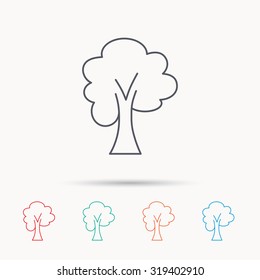 Maple tree icon. Forest wood sign. Nature environment symbol. Linear icons on white background. Vector