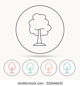 Maple tree icon. Forest wood sign. Nature environment symbol. Linear circle icons.
