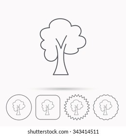Maple tree icon. Forest wood sign. Nature environment symbol. Linear circle, square and star buttons with icons.