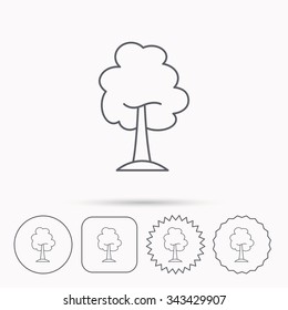 Maple tree icon. Forest wood sign. Nature environment symbol. Linear circle, square and star buttons with icons.