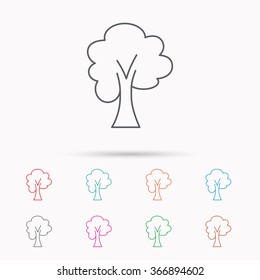 Maple tree icon. Forest wood sign. Nature environment symbol. Linear icons on white background.