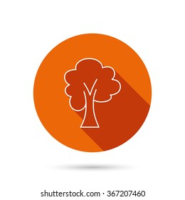 Maple tree icon. Forest wood sign. Nature environment symbol. Round orange web button with shadow.