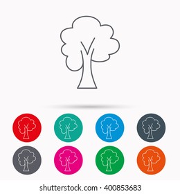 Maple tree icon. Forest wood sign. Nature environment symbol. Linear icons in circles on white background.