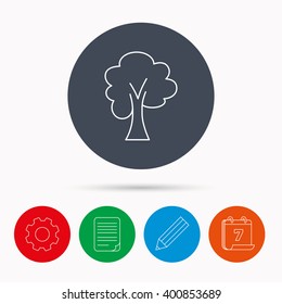 Maple tree icon. Forest wood sign. Nature environment symbol. Calendar, cogwheel, document file and pencil icons.