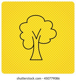 Maple tree icon. Forest wood sign. Nature environment symbol. Linear icon on orange background. Vector
