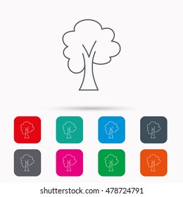 Maple tree icon. Forest wood sign. Nature environment symbol. Linear icons in squares on white background. Flat web symbols. Vector