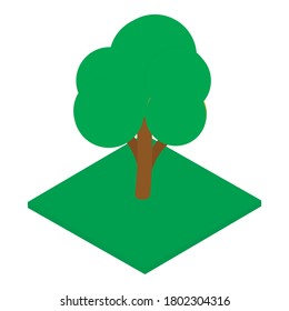 Maple tree icon. Isometric illustration of maple tree vector icon for web