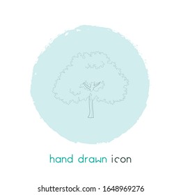 Maple tree icon line element. Vector illustration of maple tree icon line isolated on clean background for your web mobile app logo design.