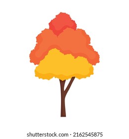 maple tree icon on white background