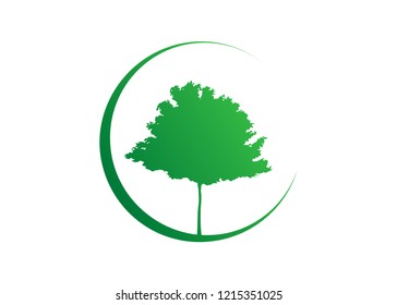 maple tree icon vector silhouette. Green Ecology Organic Farm Logo design. Biological concept nature preservation trust. Vector isolated or white background