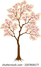 A maple tree isolated on white background