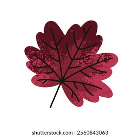 Maple tree leaf. Autumn foliage, fall seasonal botanical design element. Autumnal forest decoration, herbarium. Natural forest decor. Flat vector illustration isolated on white background