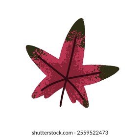 Maple tree leaf. Autumn red dried decoration. Seasonal botanical design element. Fall forest decor. Natural herbarium icon. Flat graphic vector illustration isolated on white background