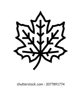 maple tree leaf line icon vector. maple tree leaf sign. isolated contour symbol black illustration