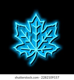 maple tree leaf neon light sign vector. maple tree leaf illustration