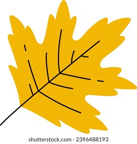 Maple Tree Leaf Vector Illustration