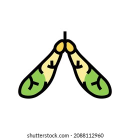 maple tree leaves color icon vector. maple tree leaves sign. isolated symbol illustration
