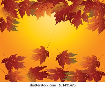 Maple Tree Leaves Falling in Autumn Season Illustration
