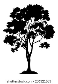 Maple Tree With Leaves And Grass, Black Silhouette On White Background. Vector