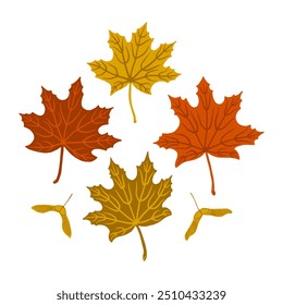 Maple tree leaves with seed pods in yellow, red, orange colors. Nature elements set. Fall season icon set. Hand drawn autumn leaves with veins.