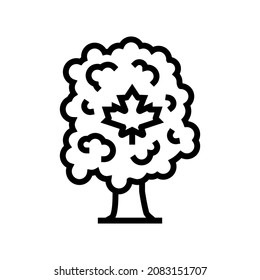 maple tree line icon vector. maple tree sign. isolated contour symbol black illustration