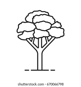 Maple tree linear icon. Forestry thin line illustration. Forest tree contour symbol. Vector isolated outline drawing