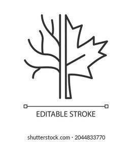 Maple tree linear icon. Official canadian emblem. Species of trees in Canada. Maple leaf symbol. Thin line customizable illustration. Contour symbol. Vector isolated outline drawing. Editable stroke