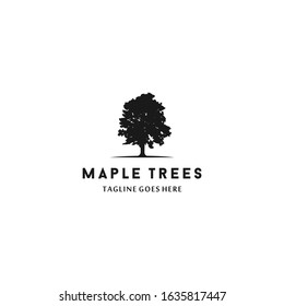 Maple Tree Logo Design Template. Maple Silhoutte. Maple Logo Design Logotype.