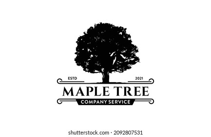 Maple tree logo illustration, tree of life design template